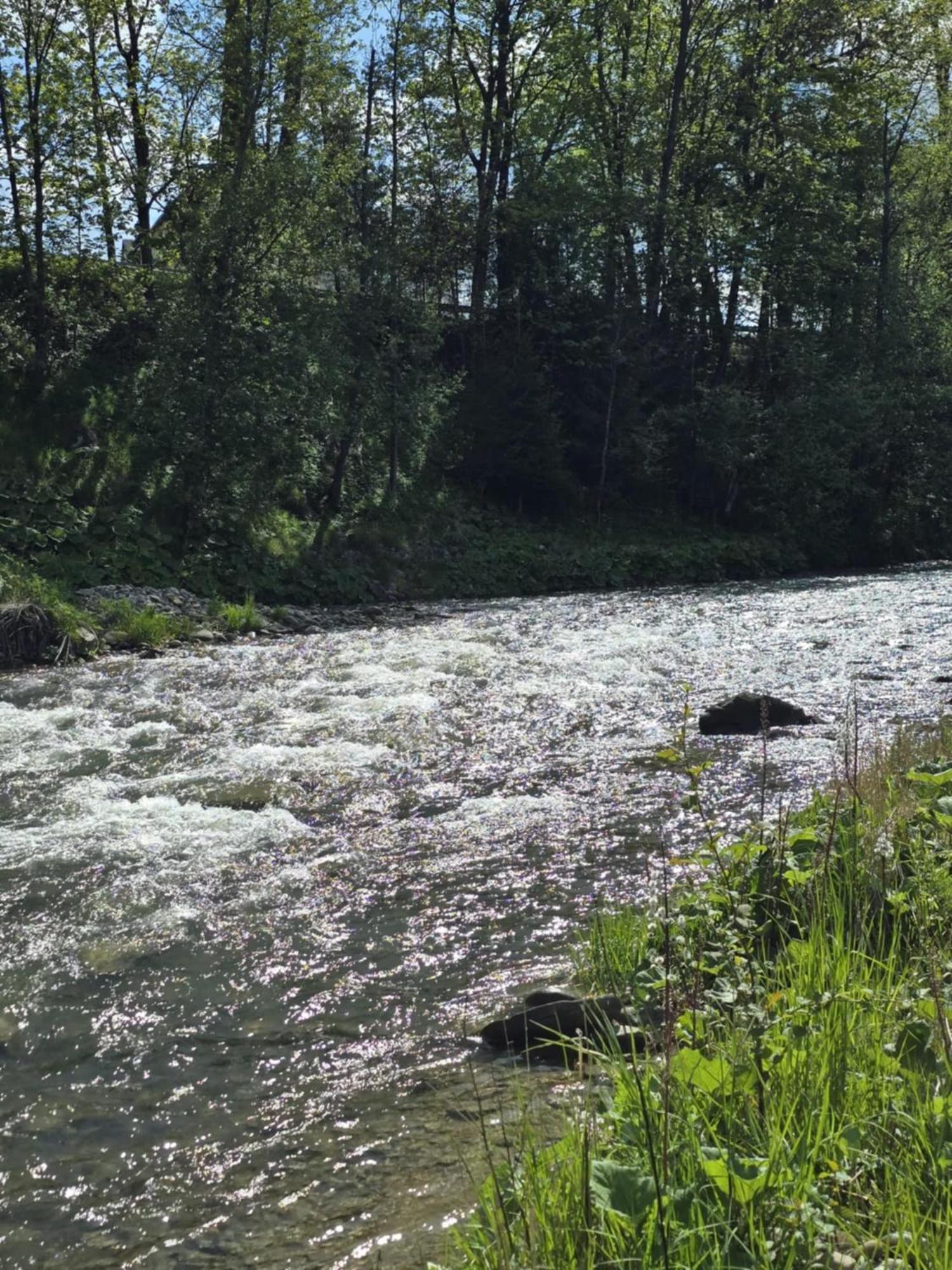 Chocholowska Zohylina pokoje i domek Exteriör bild